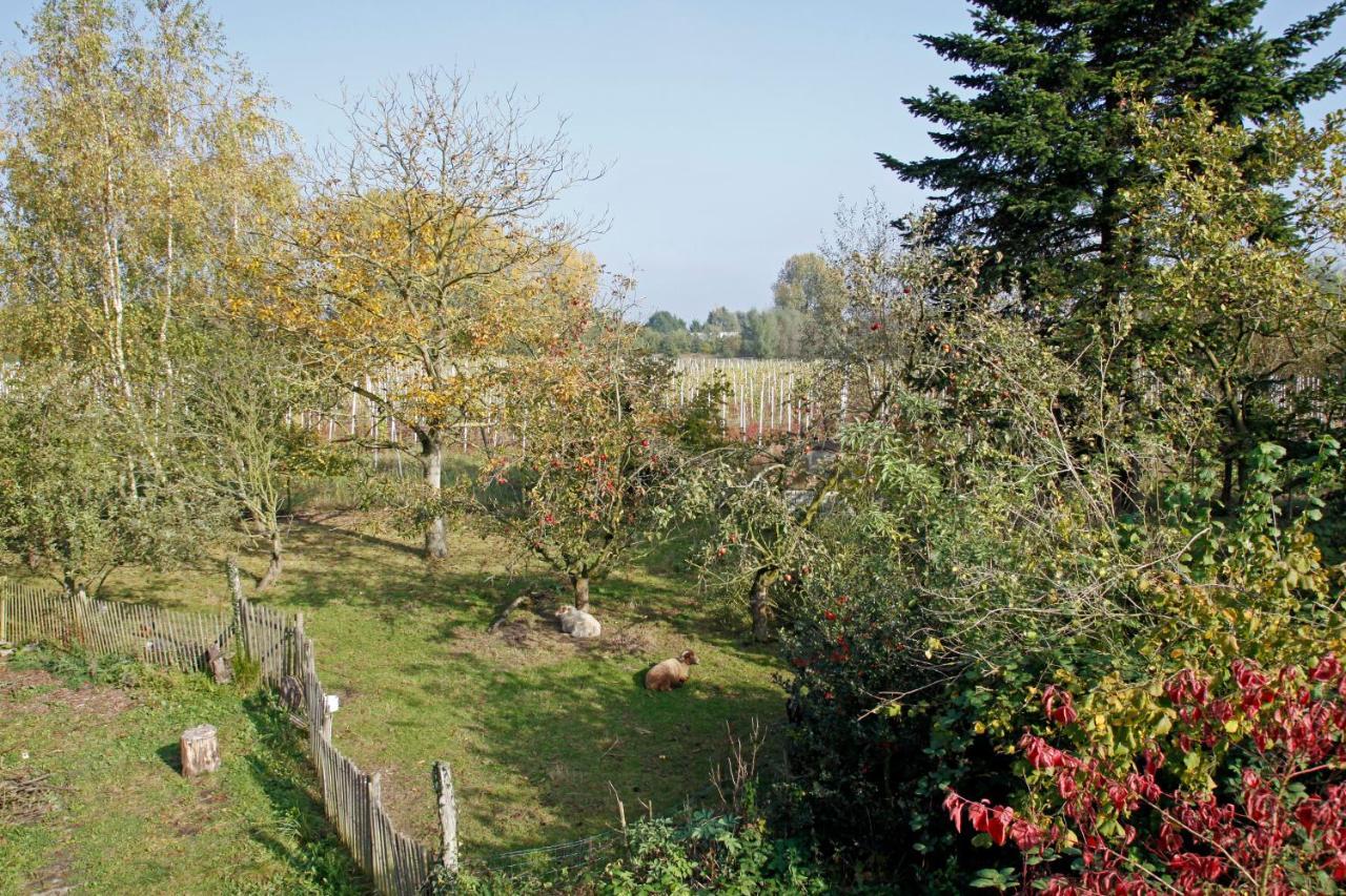 Hof Van Loverrijk Bed & Breakfast Lier Exterior photo